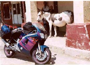 Dunkey and the bike